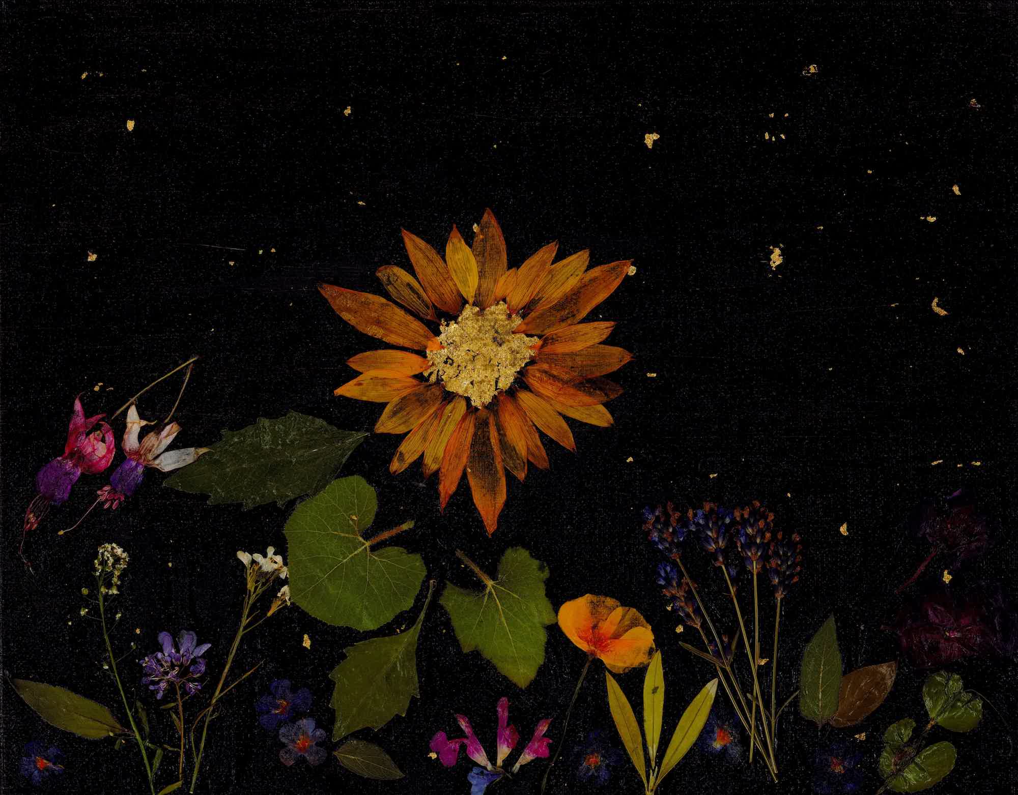 "Starry garden on a summer night" 14x11-inch acrylic, flowers & gold on stretched canvas