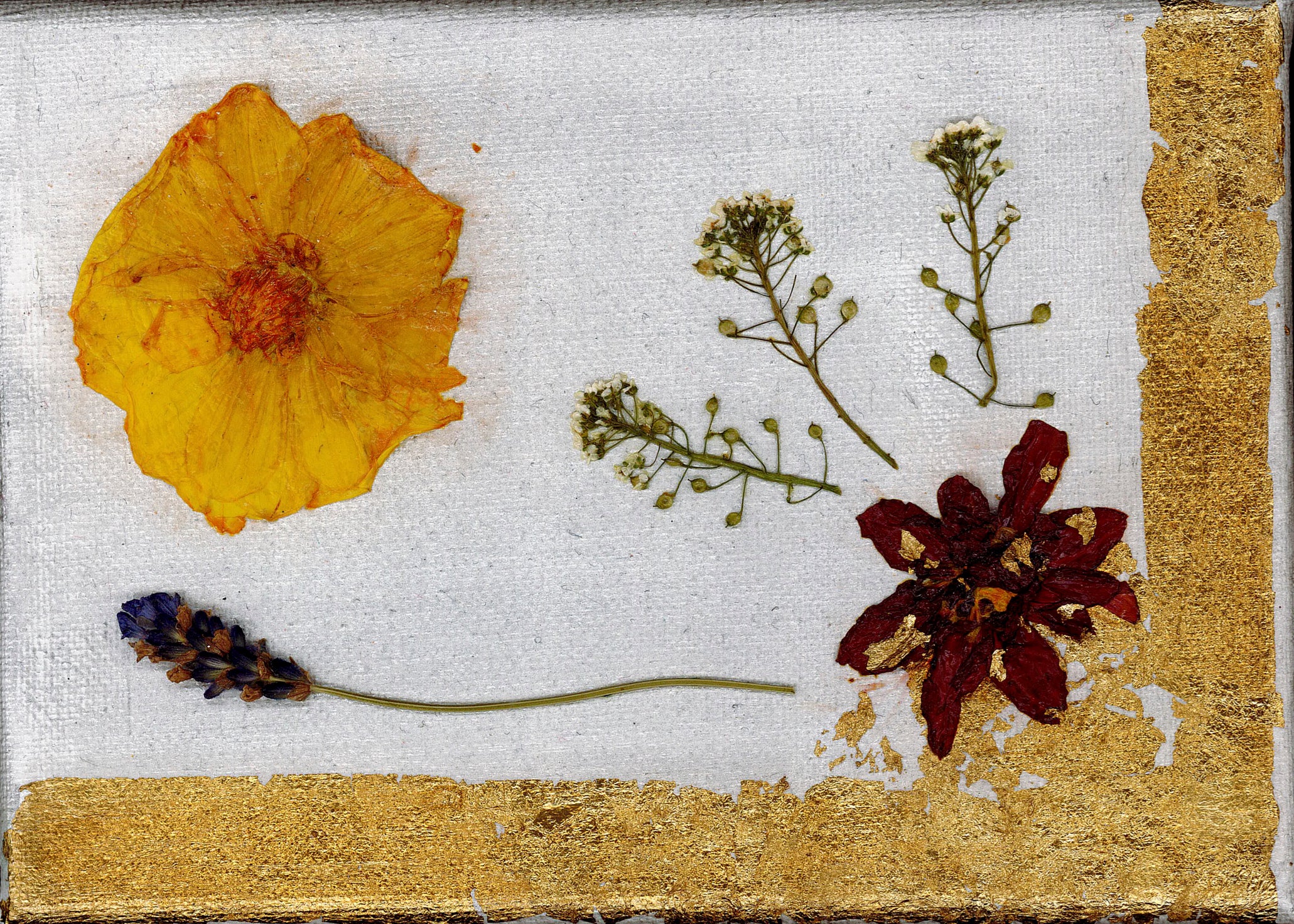 "Summer dreams" 7x5-inch on stretched canvas